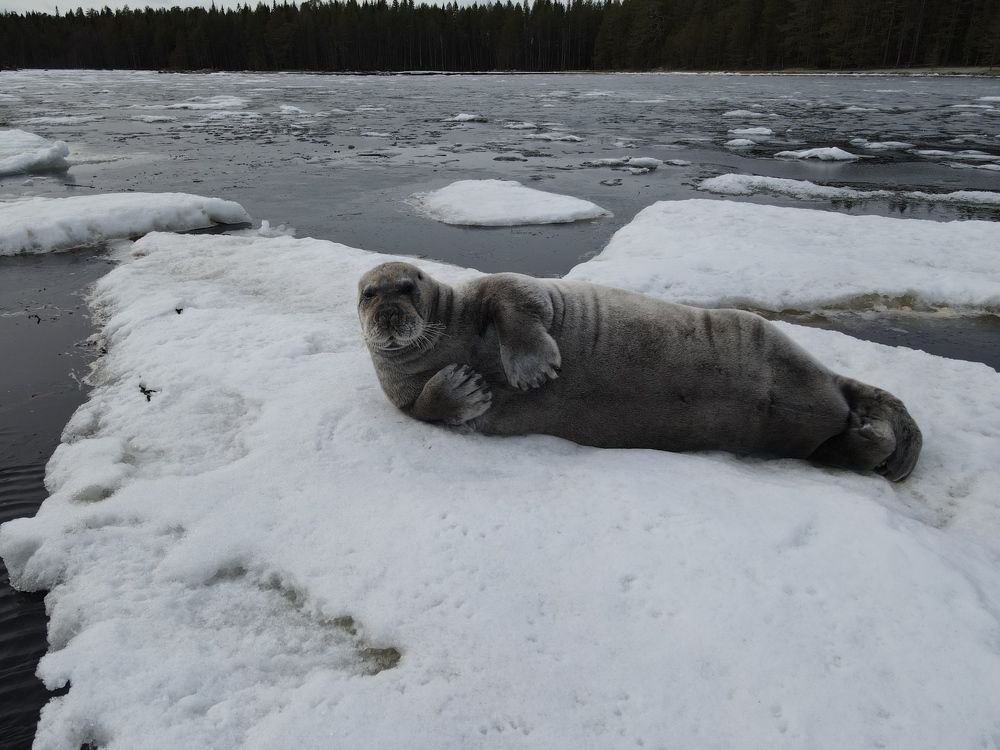 Photograph by Галина Михоношина