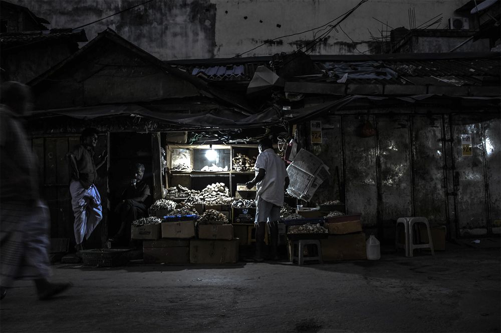 Photograph by Janitha Situbandara