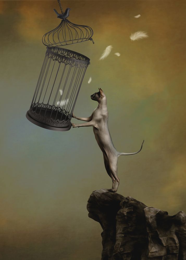 Photograph by Aldea Elena