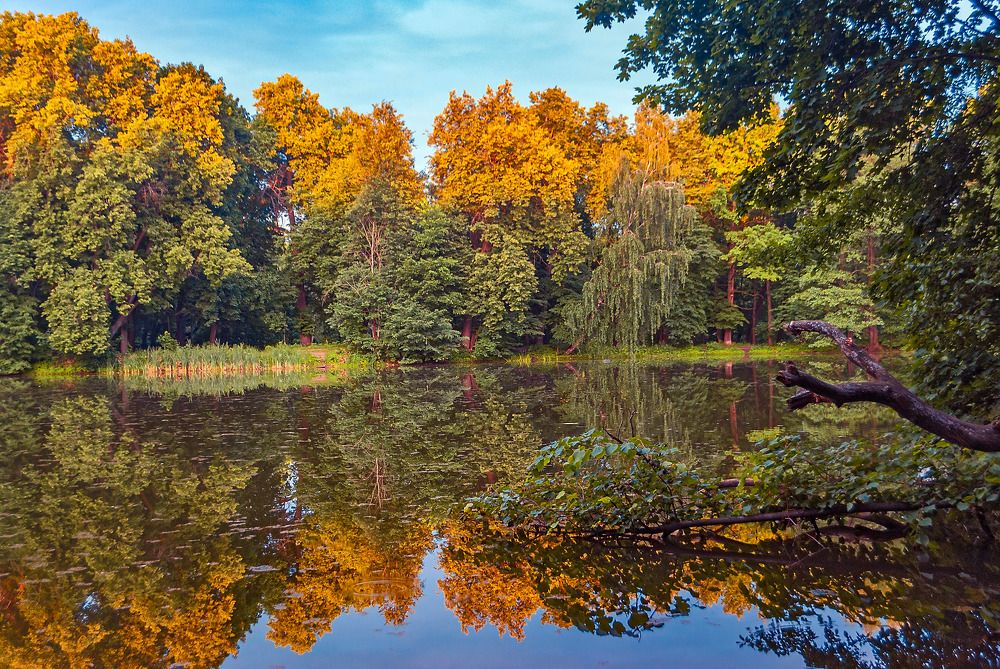 Фотография автора Елена Савельева