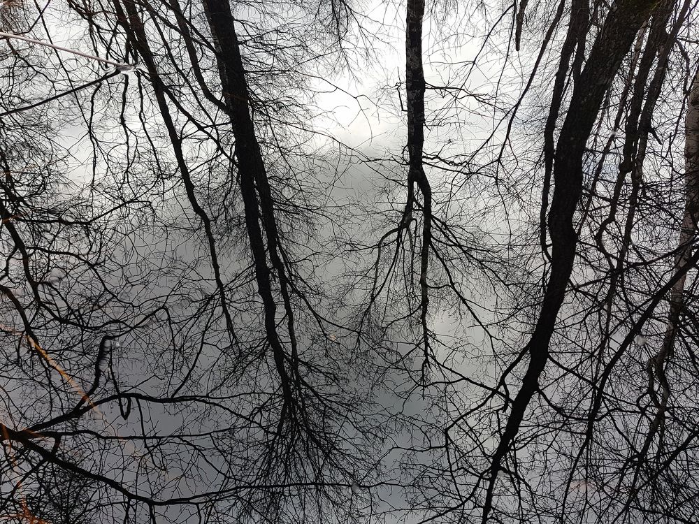 Photograph by Rolandas Valančauskas