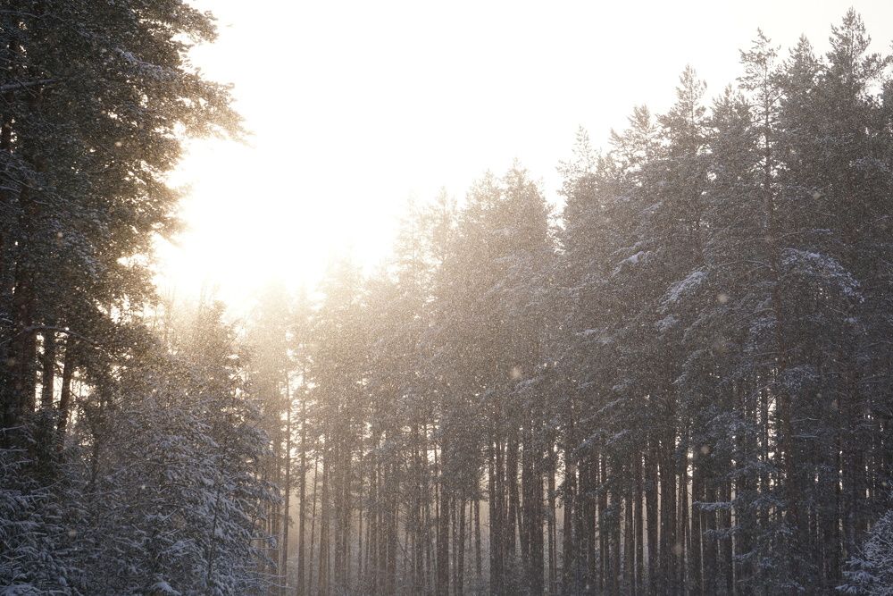 Photograph by NATALYA TOLSTOVA