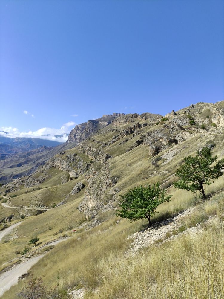 Photograph by Ирина Алексеевская