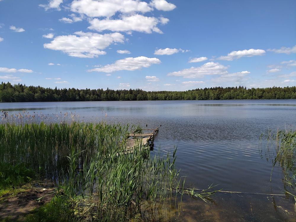 Photograph by Алексей