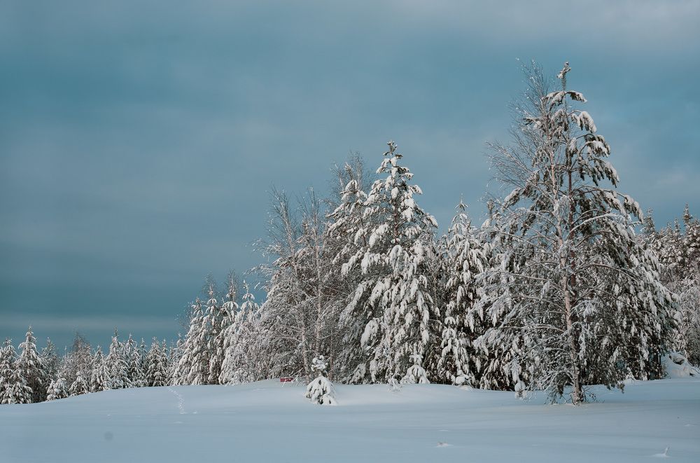 Photograph by Наталья Соболева