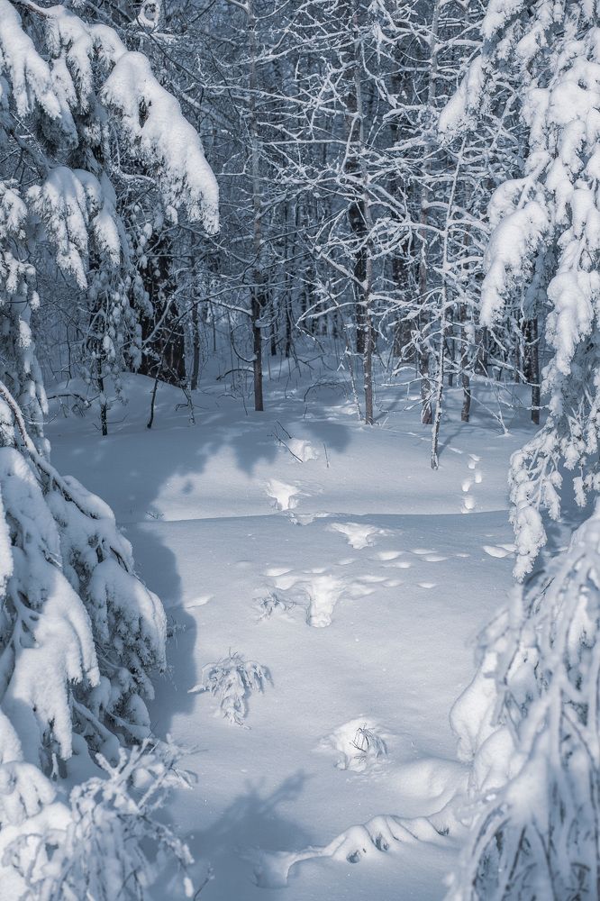 Photograph by Наталья Соболева