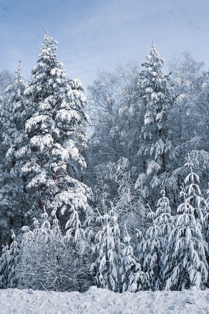 Photograph by Наталья Соболева