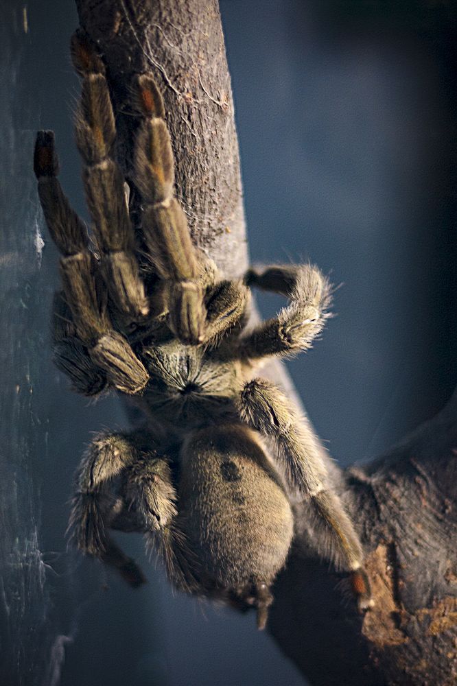 Photograph by Евгений Вяткин