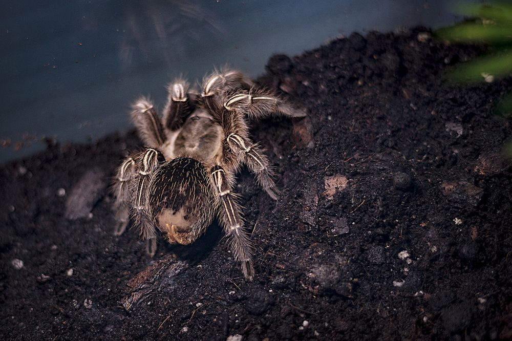 Photograph by Евгений Вяткин