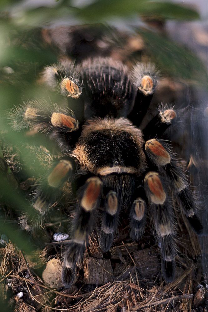 Photograph by Евгений Вяткин