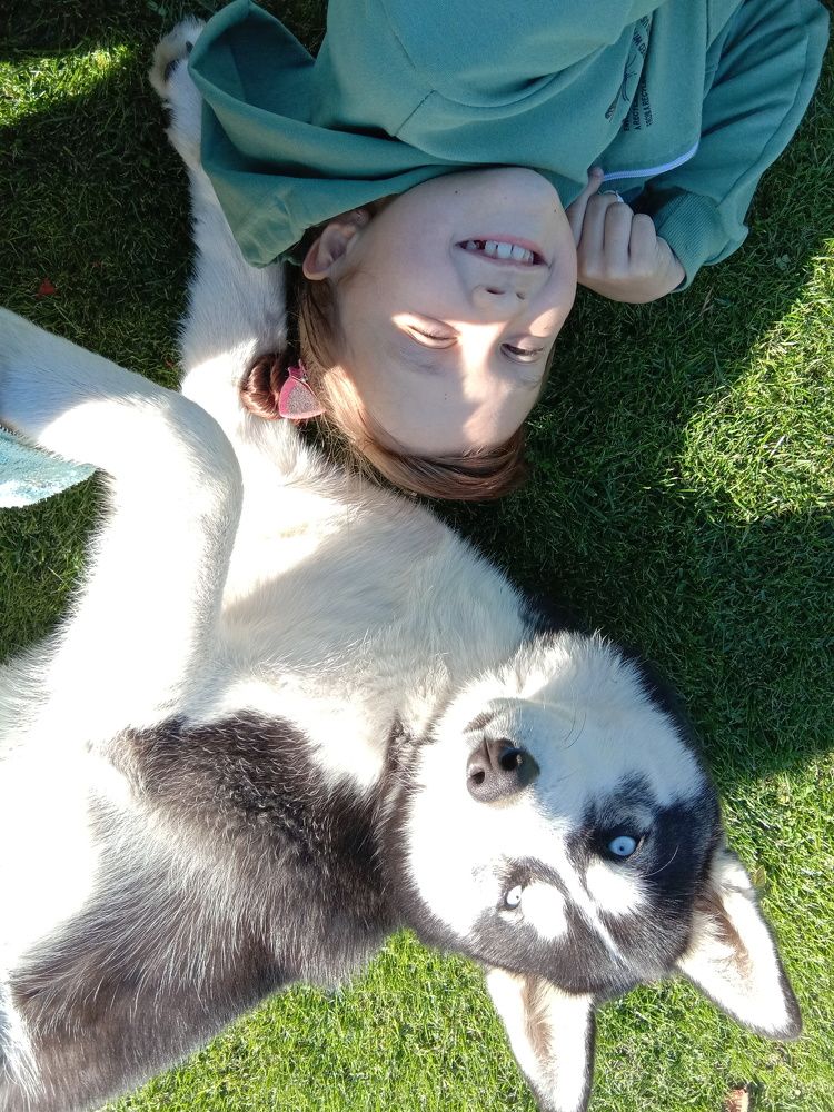 Photo #7052641