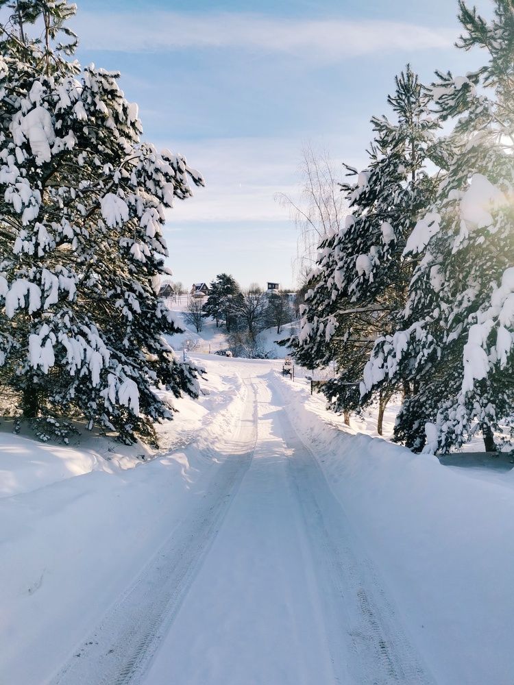 Photograph by Кристина Шацкая