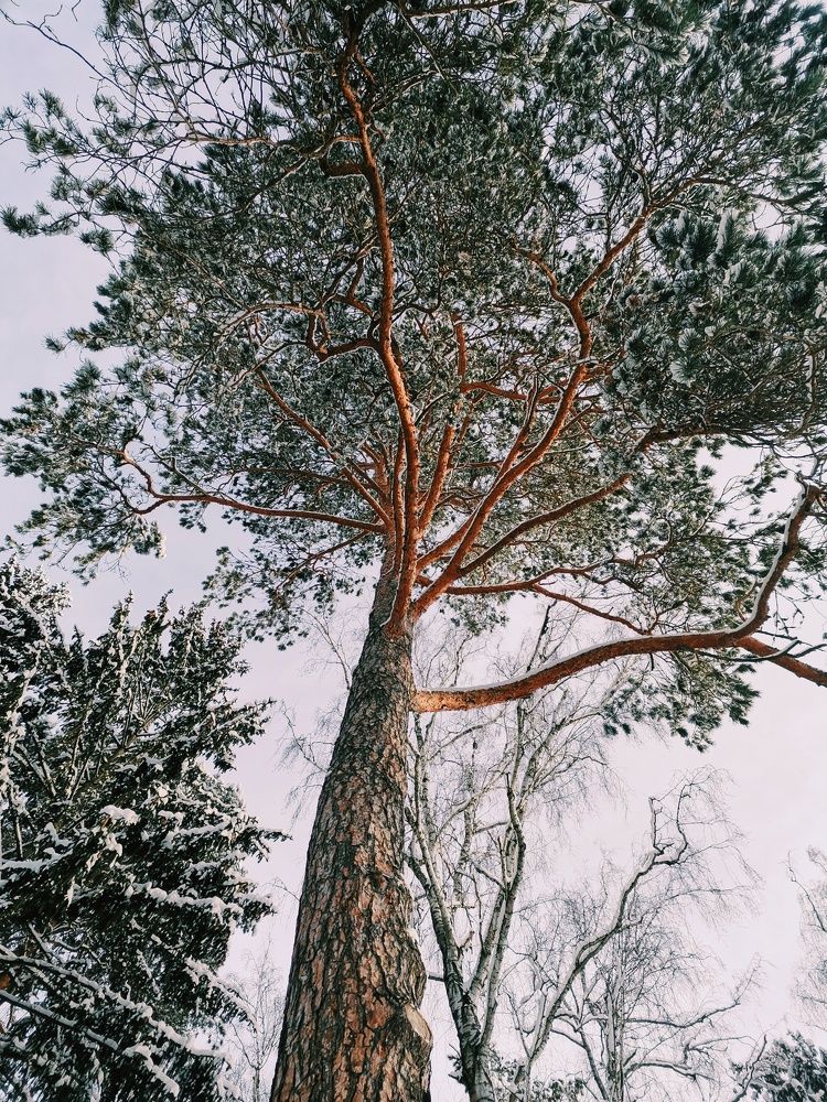 Photograph by Кристина Шацкая