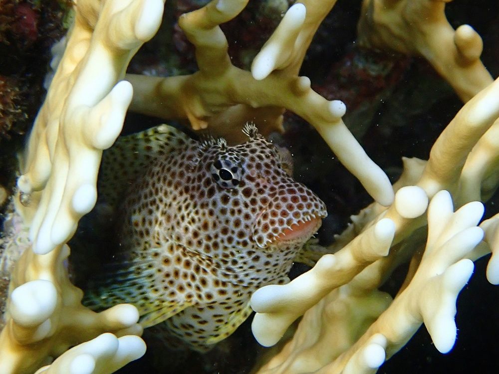 Photograph by Александр Баран