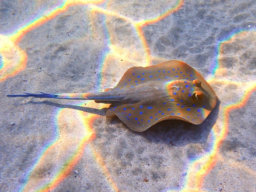 Photograph by Александр Баран