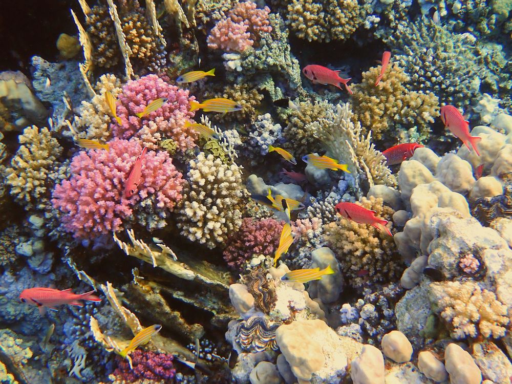 Photograph by Александр Баран