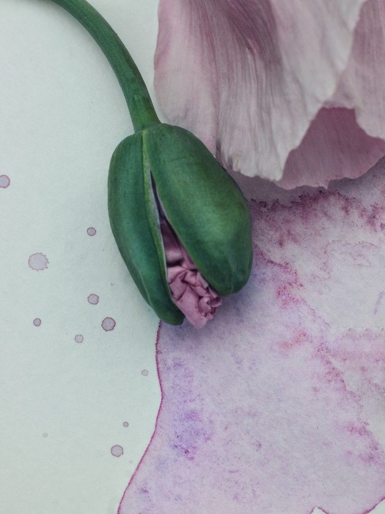 Photograph by Светлана Бузина