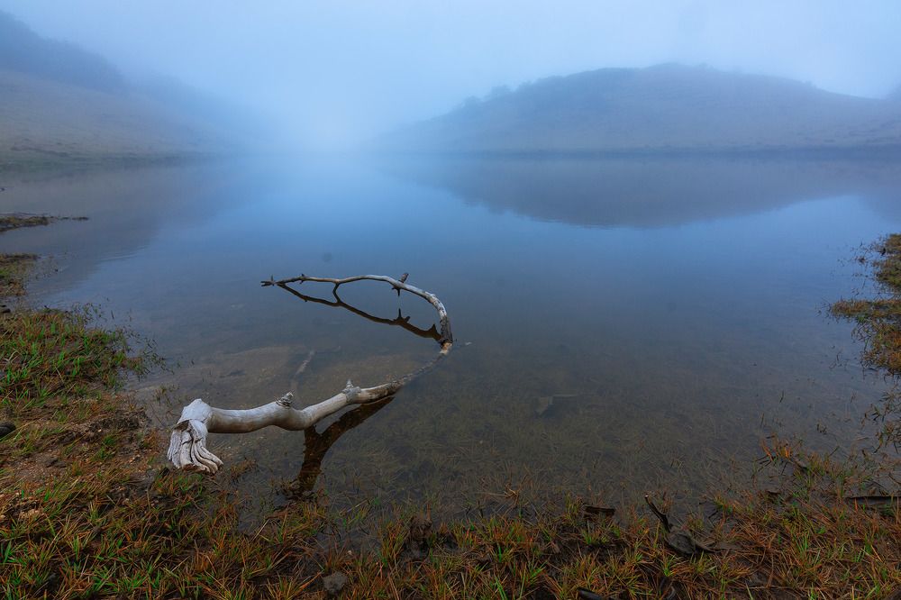Photograph by CHAYAN CHATTERJEE