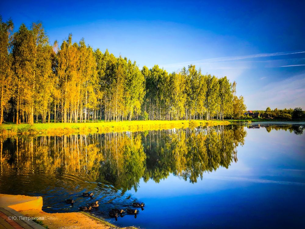 Photograph by Юлия Петракова