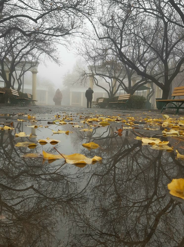 Photograph by Марина Рафаелян