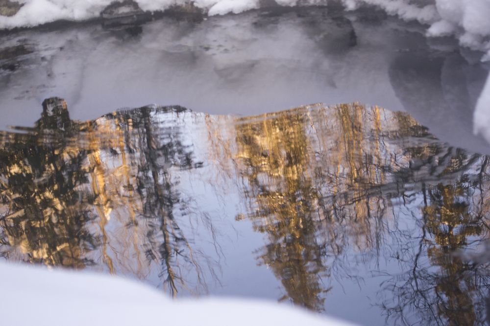 Photograph by Вера Васютина