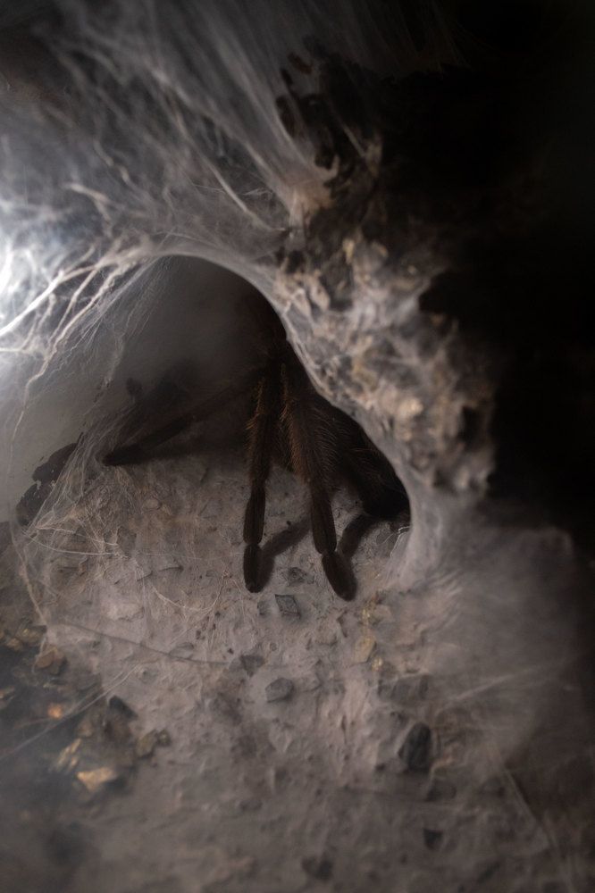 Photograph by Вера Васютина