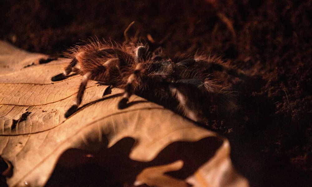 Photograph by Вера Васютина