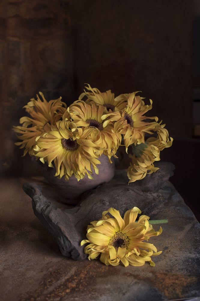 Photograph by Viktoria Alaküla