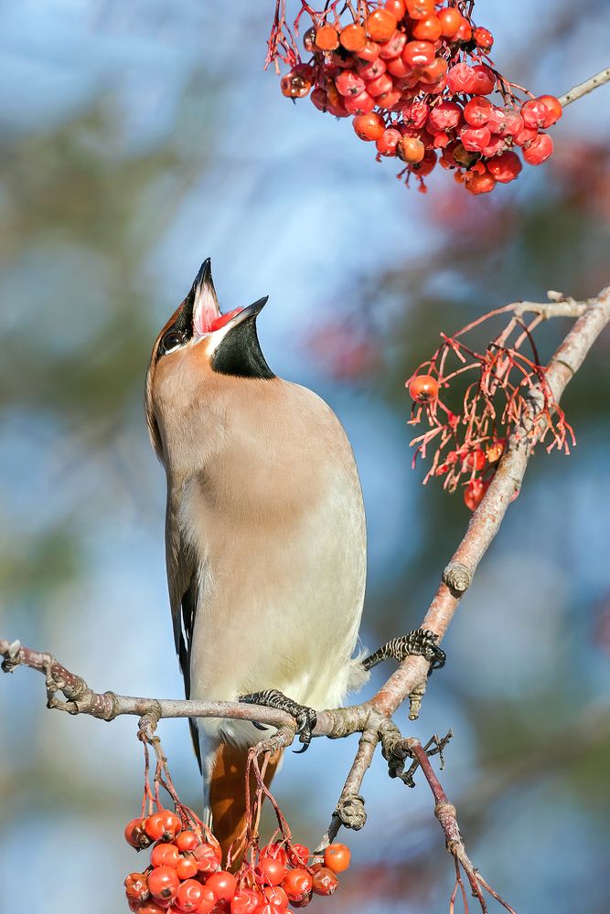 Photograph by Олег Колмаков