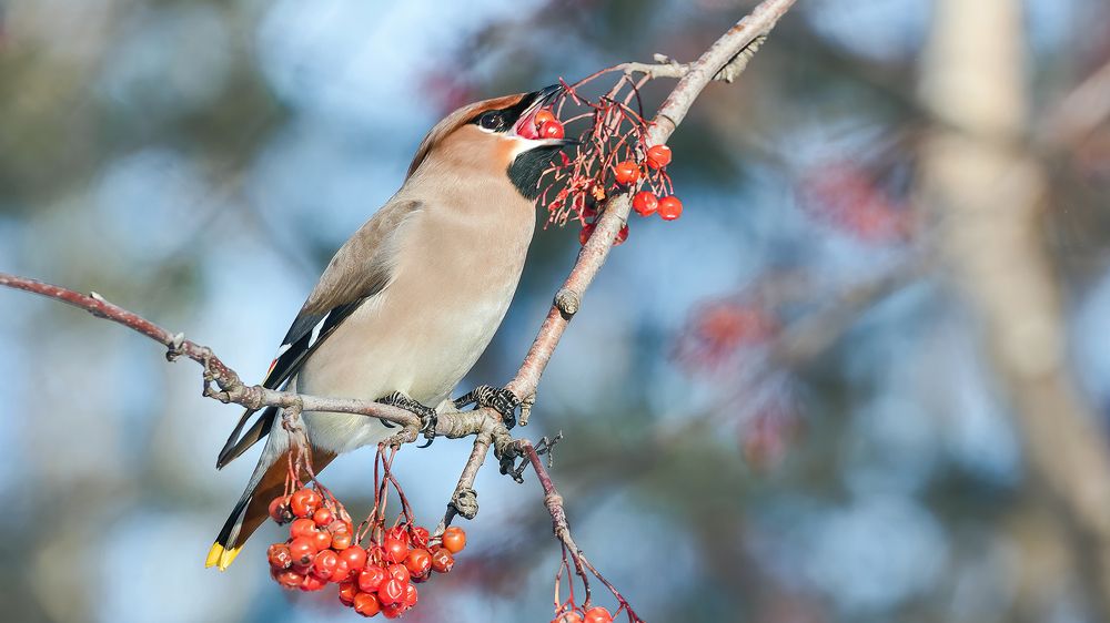 Photograph by Олег Колмаков