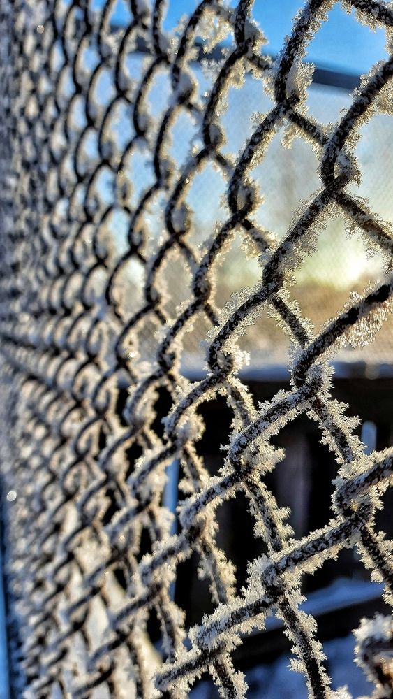 Photograph by Ксения Олина