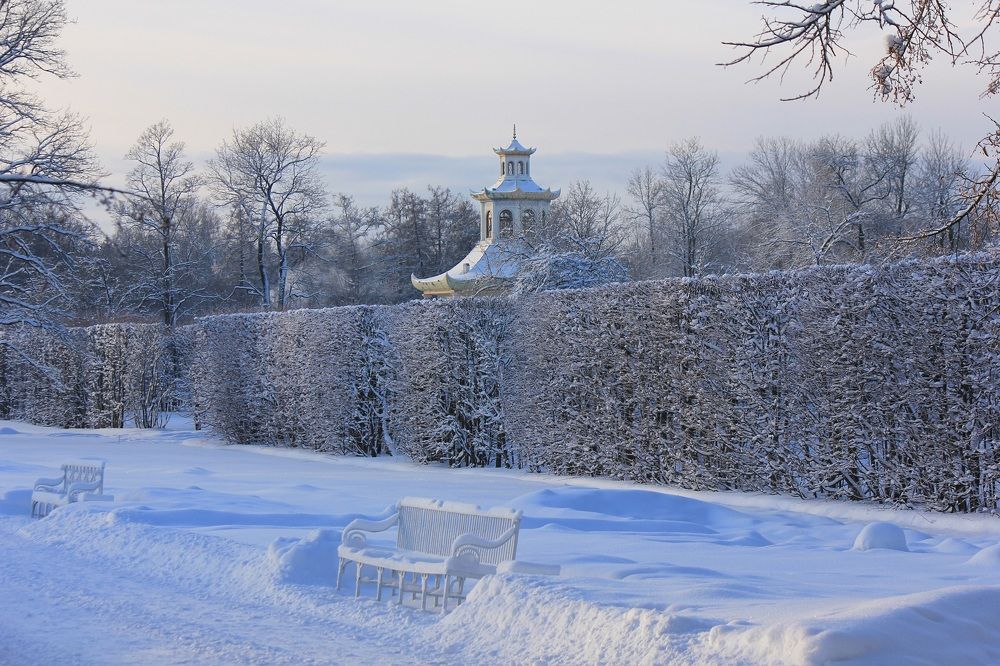 Морозное утро