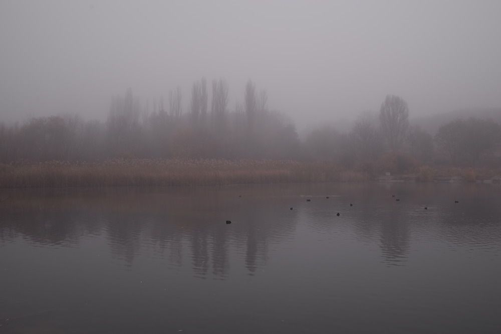 Photograph by cornel ous