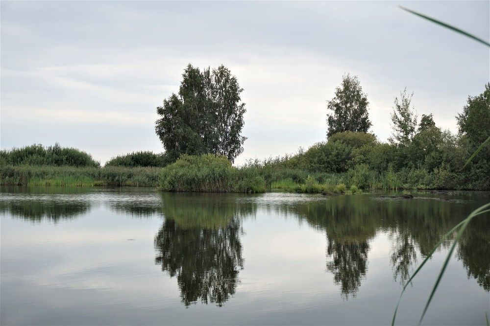 Photograph by Алфия Бугакова