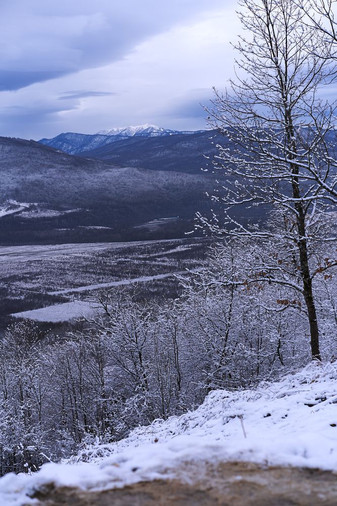 Photograph by Мария Каськова