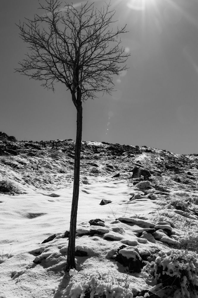 Фотография автора Hadi Nasirian