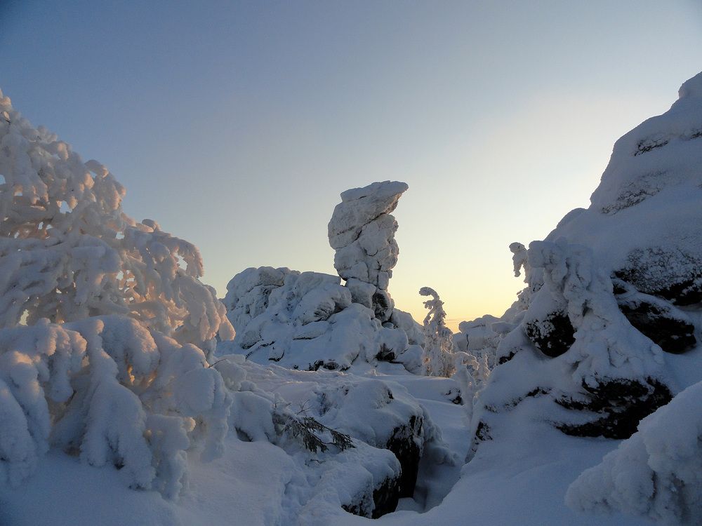 Photo #7053333