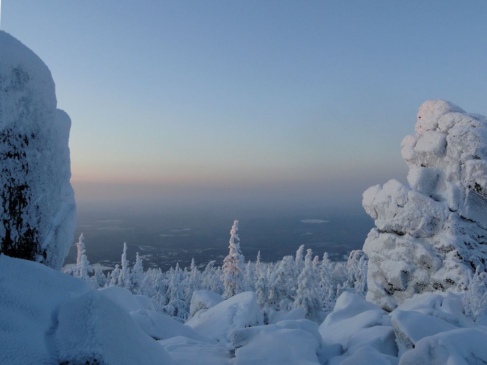 Photo #7053348