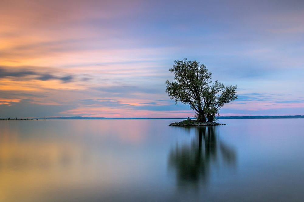 Photograph by Dallig Marcin