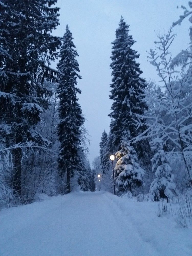 Photograph by Галина Маркова