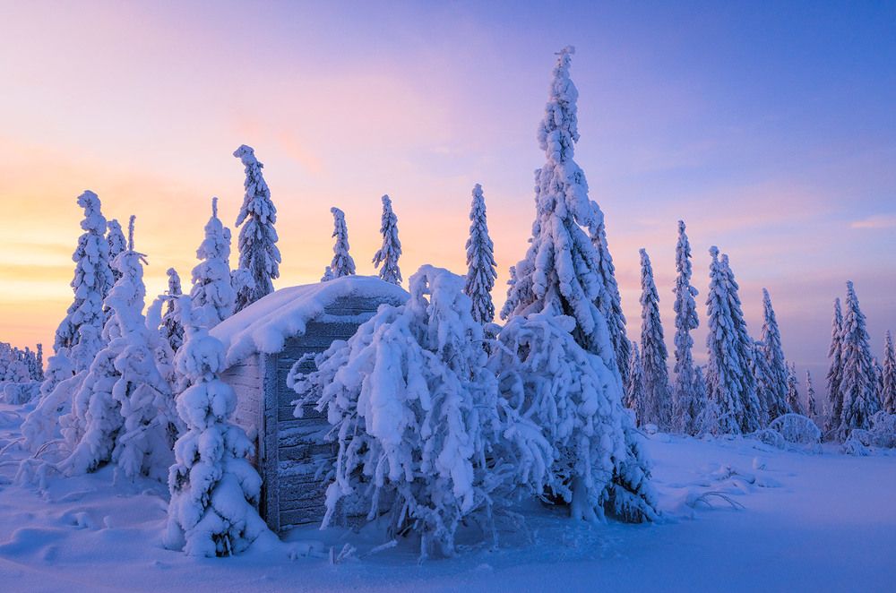 У леса на опушке ...