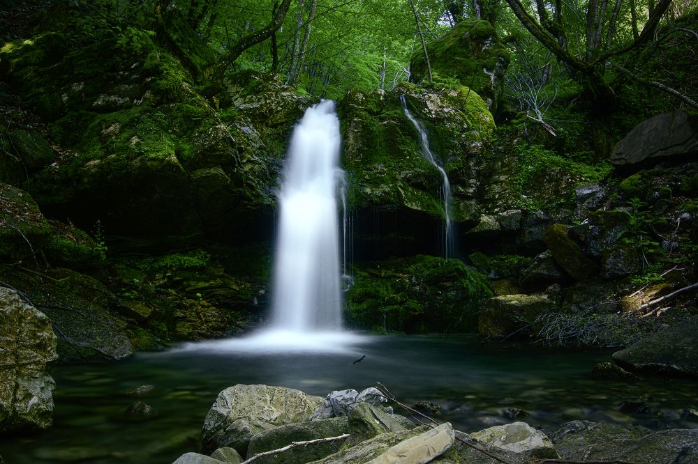 Photograph by Dino Sirica