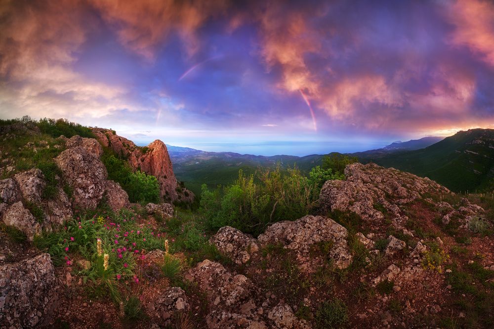 Photograph by Konstantin Voronov