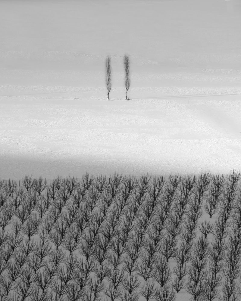 Photograph by Alipour mohammad