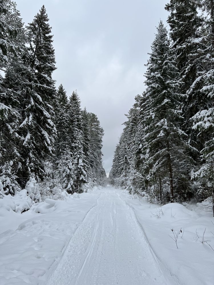 Photograph by Катя