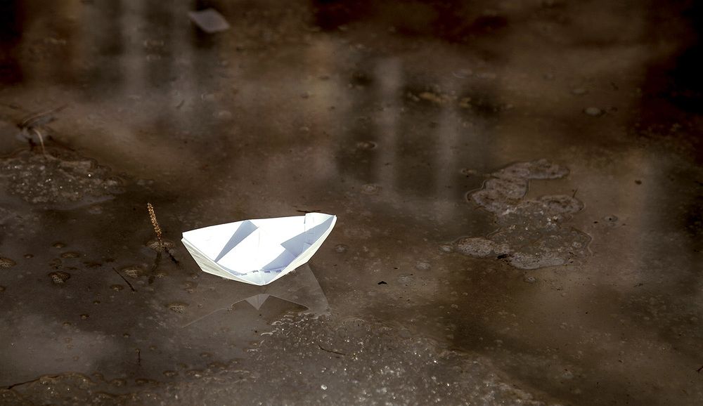 Photograph by Кашина Лилия