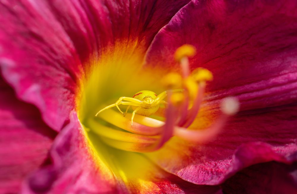 Photograph by Марина Багрова