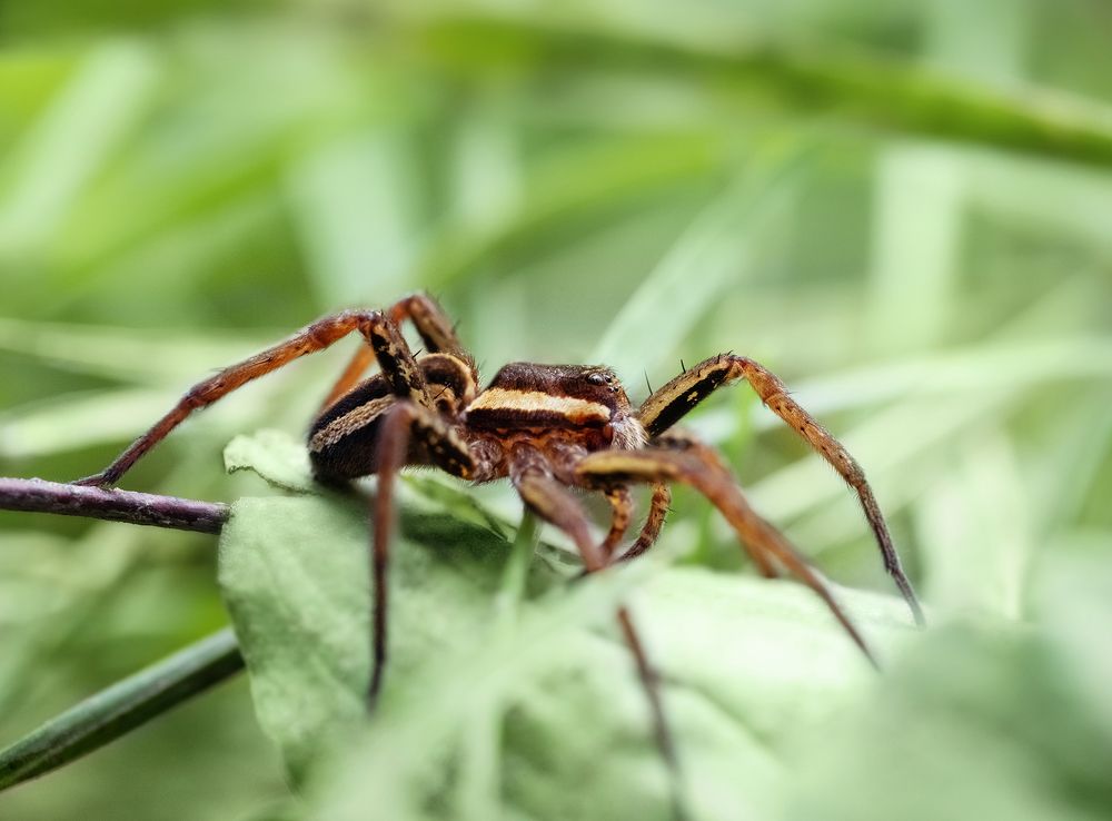 Photograph by Марина Багрова