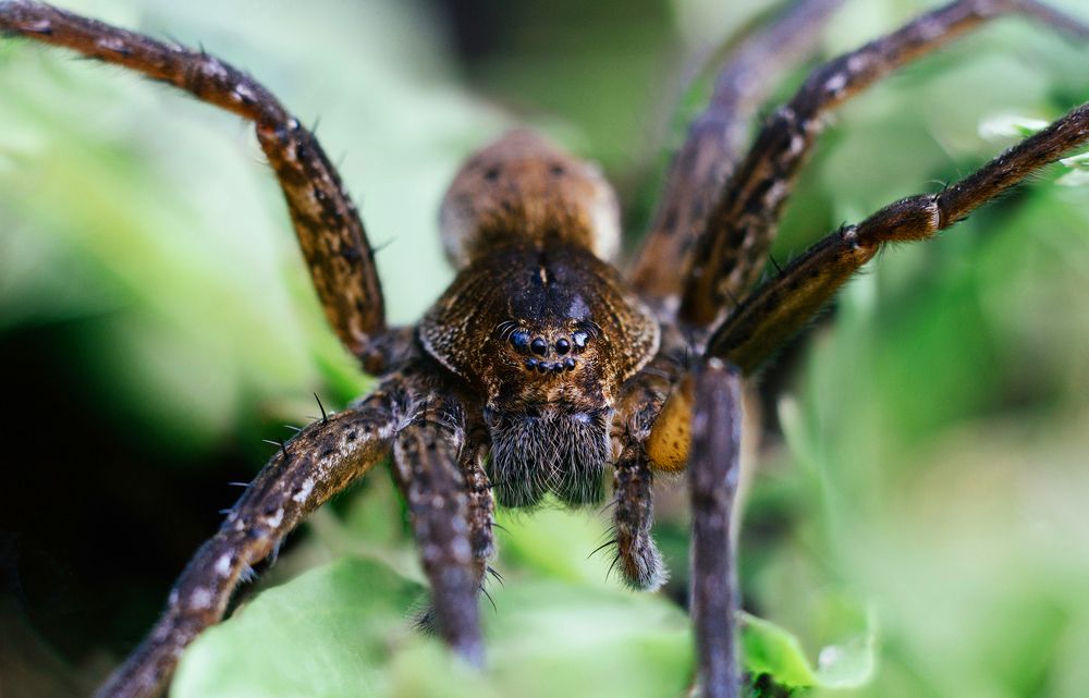 Photograph by Марина Багрова