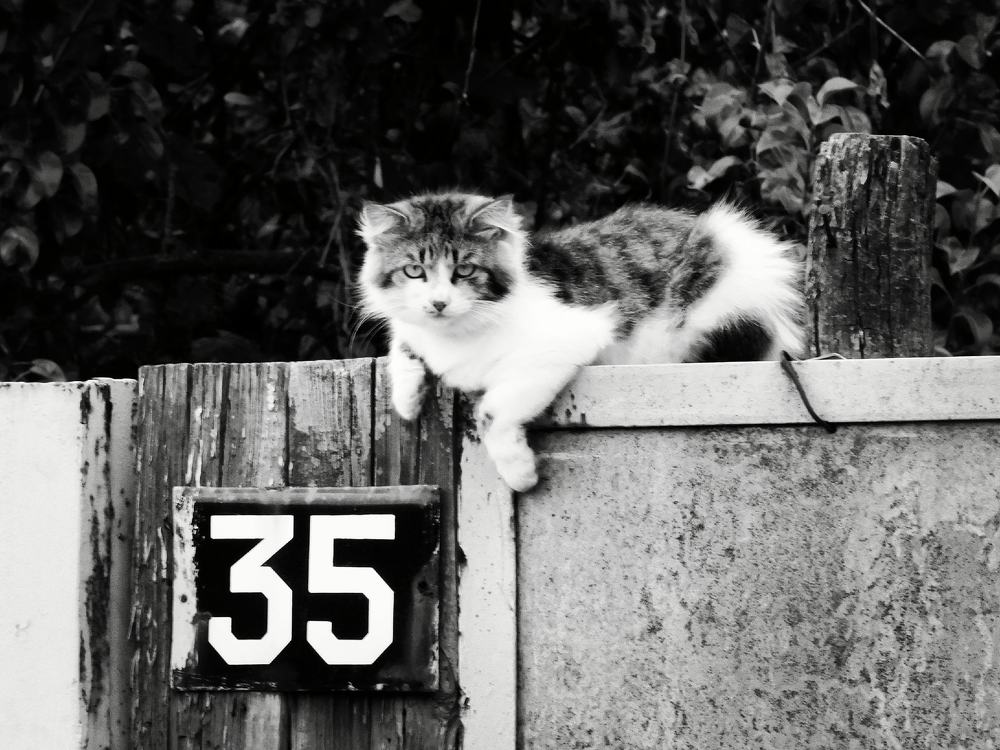 Photograph by Дарья